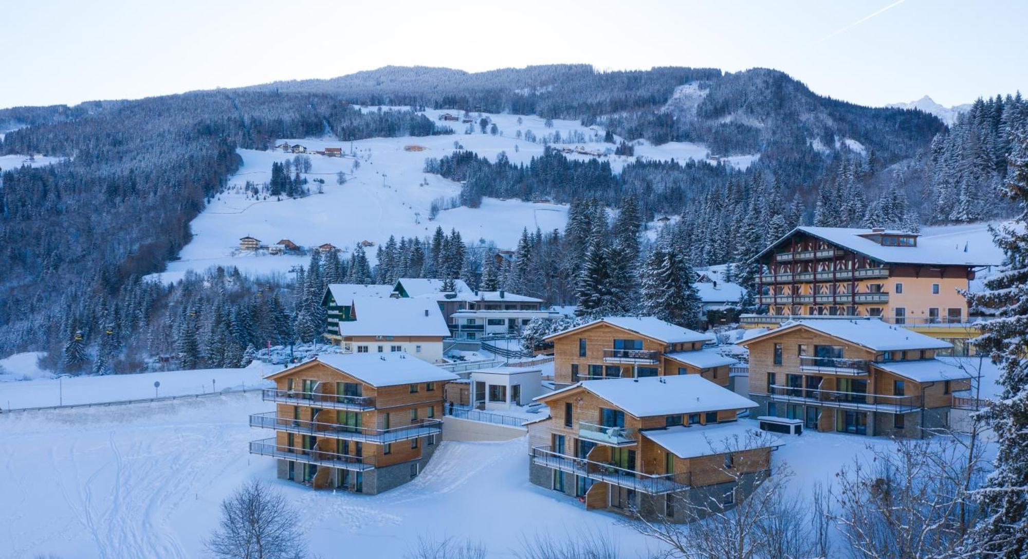 Panorama Lodge Premium Apartments Шладминг Екстериор снимка