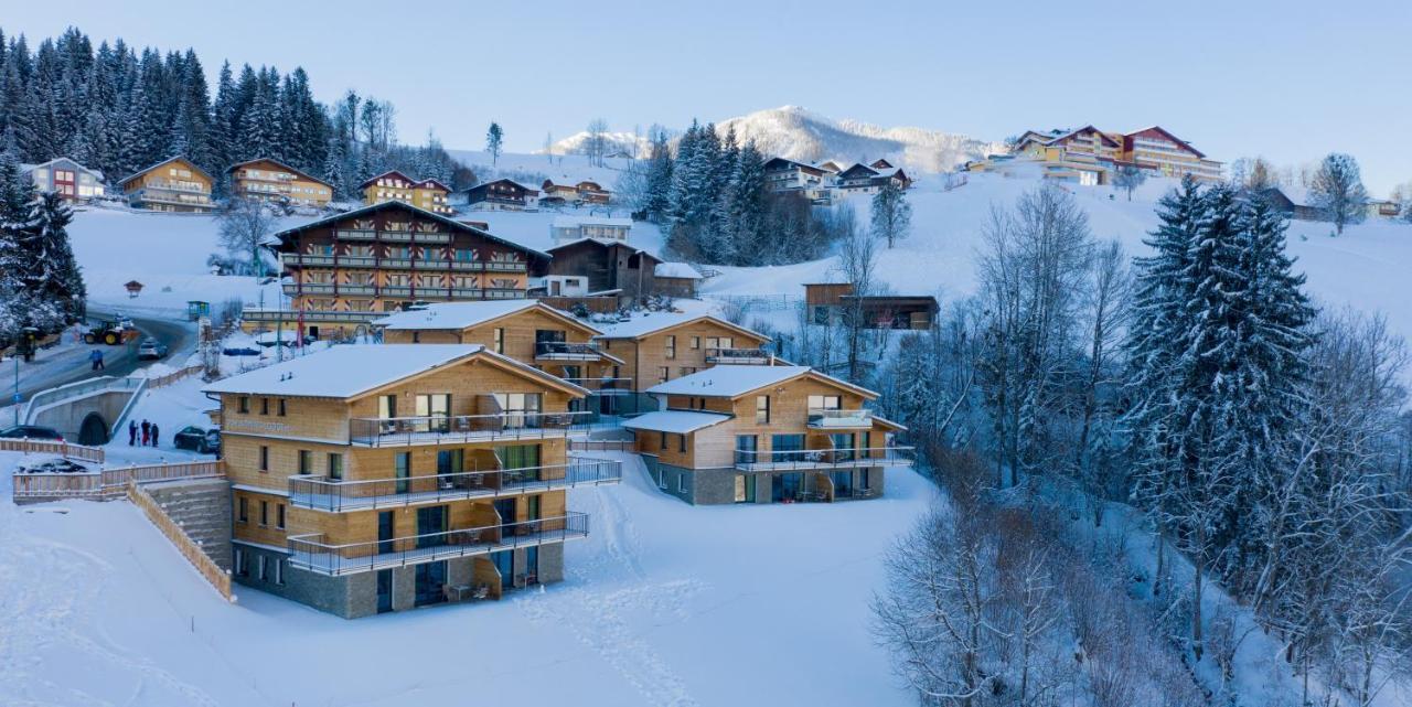Panorama Lodge Premium Apartments Шладминг Екстериор снимка